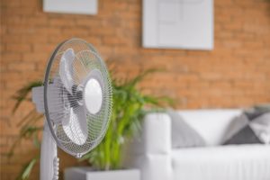 Electric Fan in Room