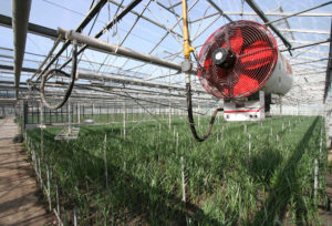 Heater in a Greenhouse